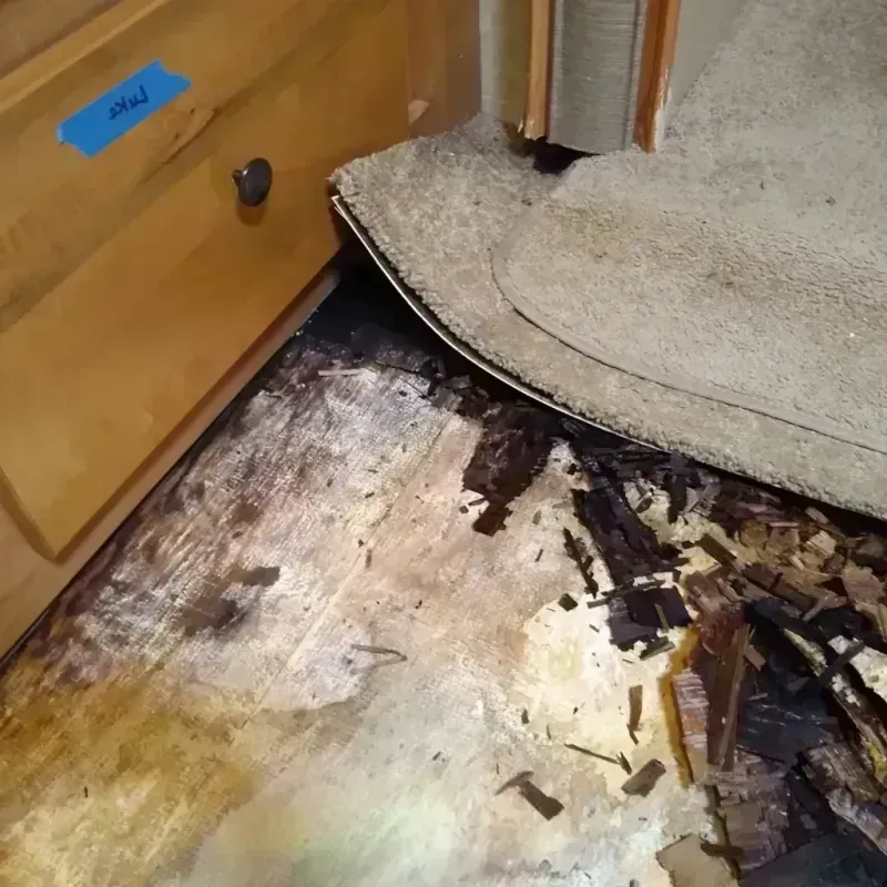 Wood Floor Water Damage in Durand, MI